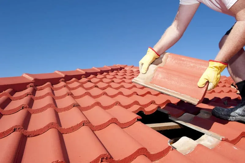 Roof Maintenance & Repair